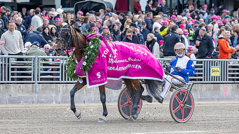 Ravit Italia