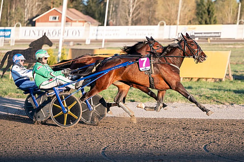 Hall Of Hearts työntyi lopussa ohi suursuosikin Smoked Orangen.