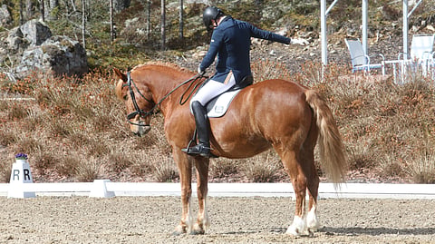 Lassi Lehmusto ja Vekardo tähtäävät kauden aloitukseen Finnhorse Tourilla Kangasalla toukokuun kolmantena viikonloppuna. 