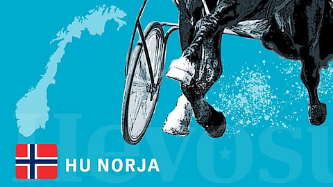 Skandaali Norjassa: Peliyhtiön teknisen vian vuoksi lähes 24 000 ravivetoa sisään ilmaiseksi