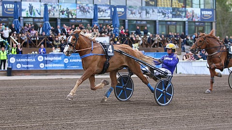 Björn Goopin ohjastama Stallone kiri lennokkaasti ykköseksi ja kellotti kovan tuloksen Erkon Pokaalissa.