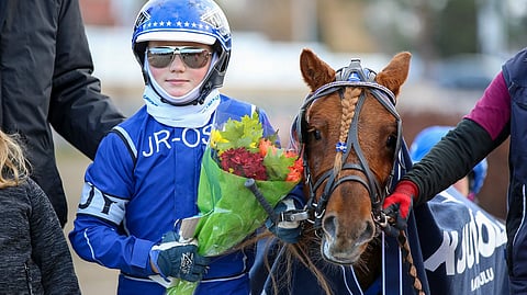 Ferdie Flit on Jesse Ylitalolle merkityksellinen poni.