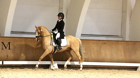 Anna Kärkkäinen ja Minion Verde aloittavat Kangasalla käynnistyvällä Pohjola Grand Prix Tourilla, joka käydään tänä vuonna kokonaan intermediaire-tasolla. 