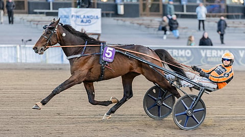 Diamond Truppo Gävle