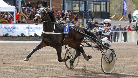 Luciano Bryne menestyi 3-vuotiaana hienosti, mutta sen jälkeen on ollut vaikeampaa. Nyt haaveissa on comeback radoille.