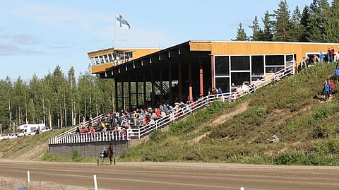 Suonenjoen ravirata katsomo