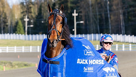 Ancio voitti Black Horse Cupin viime vuonna.