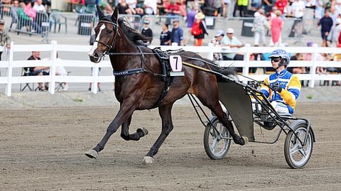 Ravit Ruotsissa