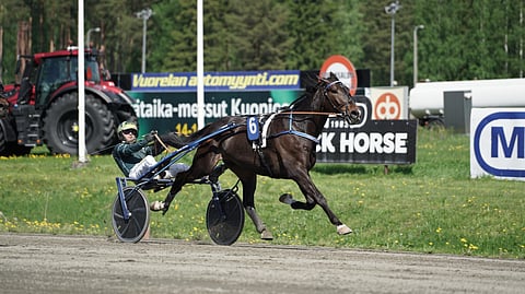 Magnitude taisteli hienosti ja piti kirihevoset takanaan juostuaan johtavan rinnalta.