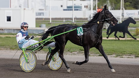 Riku Salmisen sijaan Saonoin rattailla tai selässä nähdään luultavasti jatkossa Moilanen, joko Ari tai Pia-Maria.
