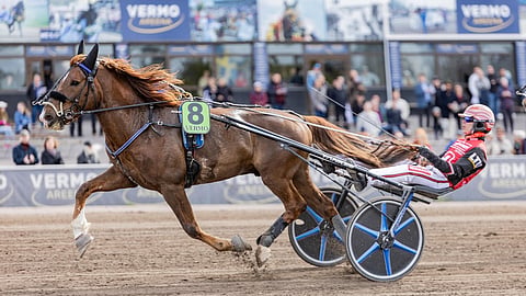 Vänrikki ja Santtu Raitala