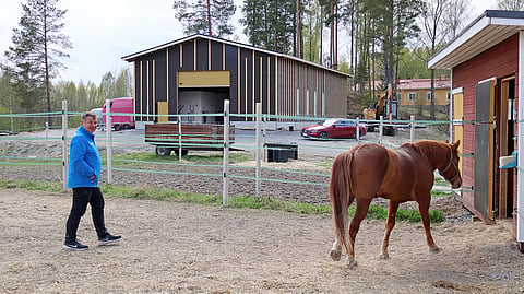 Taraori ei yleensä anna Juha Rontulle kiinni suoraan tarhasta. Rontu on opettanut sen menemään karsinaansa pyynnöllä ”Koppiin”, josta sitten käy ruunan hakemassa.