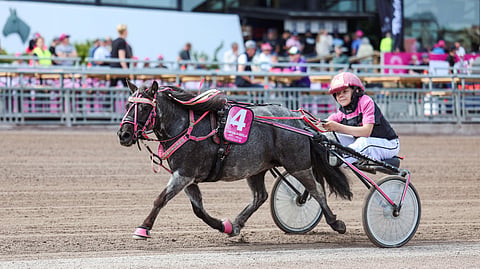 Stensbydals Castilla ja Amanda Hänninen olivat mukana Mini Elitloppetissa.