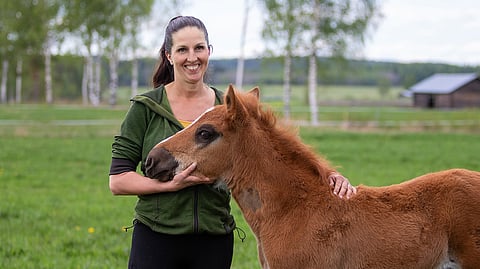 Varsovan ja Välähdyksen varsa on varsinainen Ihme.