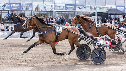Giolitti Grif ja Santtu Raitala