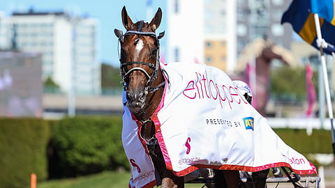 Go On Boy Elitloppet