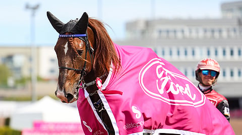 Vänrikki ja Santtu Raitala Solvalla 30.5.20265
