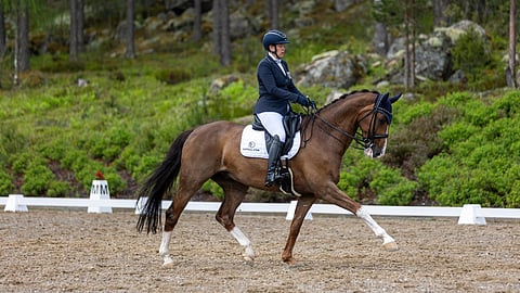 Kultamitaliratsastus. 