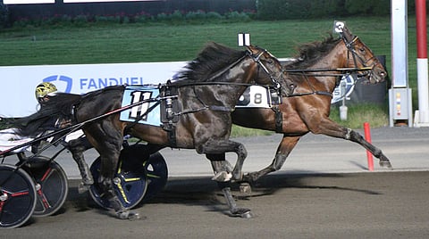 Ravit Meadowlands