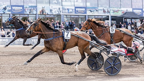Giolitti Grif (7) voitti keulasta Finlandia-lauantaina Vermossa ravatun nousijadivisioonafinaalin. Santtu Raitala ohjasti.