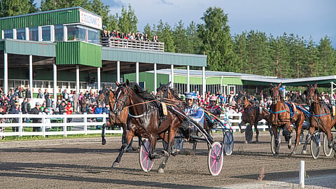 Vieremän ravit kuvituskuva