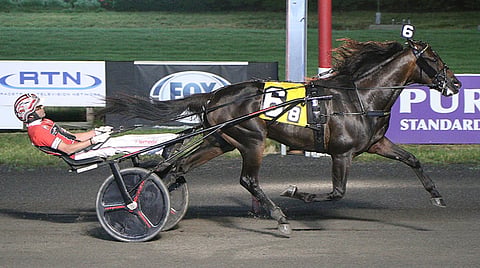 Super Chapter Meadowlands