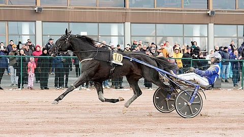 Borups Victory Seinäjoki Race