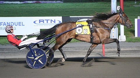 Mohawk Park Woodbine