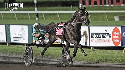 Ravit USA