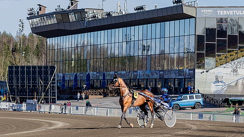Kuvituskuva Vermo