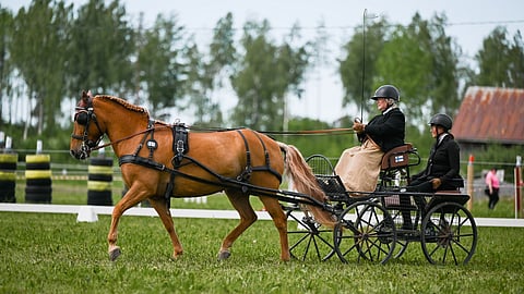 Tuore rotumestari, ajurina Margit Ranta ja groomina Nina Ossberg. 