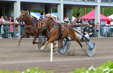 Laukanneet Enon Vilppi (6) ja V.G. Voitto (8) Nordic King 2026