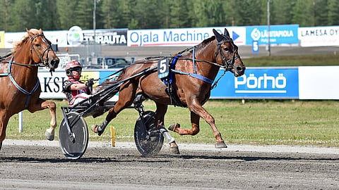 Santtu Raitala on ajanut valtaosan Profiilin uran starteista.