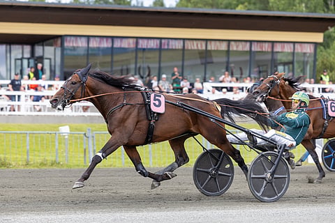 Massimo Hoist sai hyvän viimeistelyn Suur-Hollolaan varten.