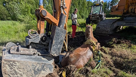 20-vuotiaalla Odilla on aikanaan kilpailtu koulua ja valjakkoajoa. Seniori ehdittiin juuri ja juuri pelastaa hevosen kaaduttua ojaan.