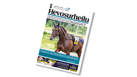 Massimo Hoist on tämän keskiviikon Hevosurheilun kansikuvahevonen.