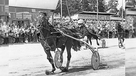 Teodor vei vuoden 1977 Suur-Hollola-ajon karsinnan Erik Skutnabbin ohjastamana.