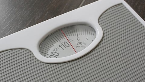 Ratsastajan paino vaikuttaa hevosen hyvinvointiin. 