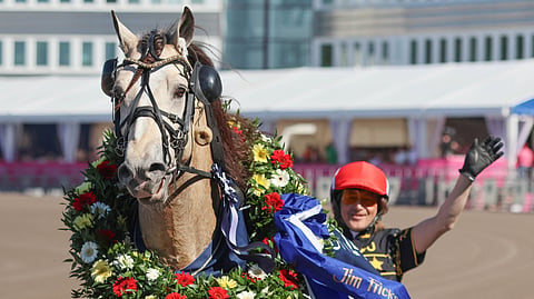 Ravit Norja Jarlsberg