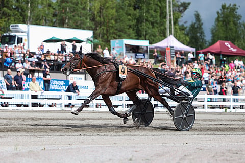 Massimo Hoist karkasi Suur-Hollola-karsintalähdössään omille teilleen.