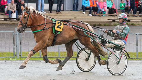 Ravit Solänget