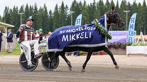 Don Fanucci Zet St Michel 2024