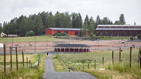 Maa-aluetta tilalla riittää, sillä kaikille hevosille on järjestettävissä omien tarhojen lisäksi laitumet.