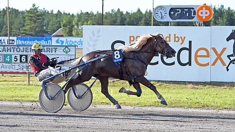 Marian Myrsky ja Henri Bollström Pikkupelimanni 2026