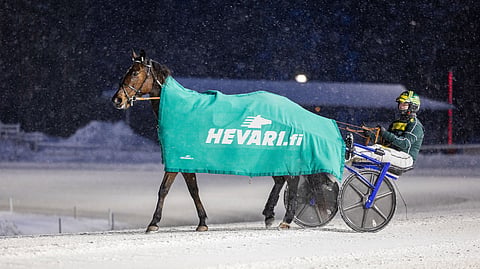 Talvella Making Miracles juhli menestystä myös Toto75-tasolla.