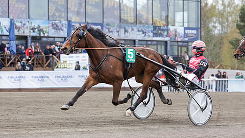 Ancio voitti näyttävästi Seppeleajon Vermossa ohjaksissaan Santtu Raitala.