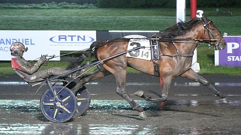 Ravit USA