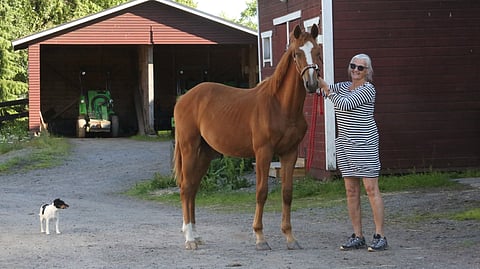Liisa Lähdesmäen kasvatustyö jatkuu kuvan Hermanssinin kautta. 