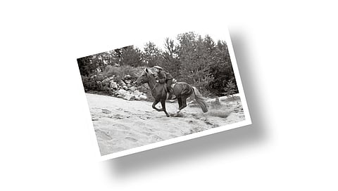 Kuva-arvoitus – tunnistatko kuvan hevosen ja henkilön?