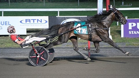 Ravit USA